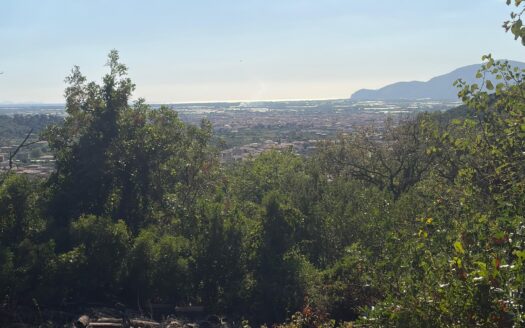 Casale da ristrutturare