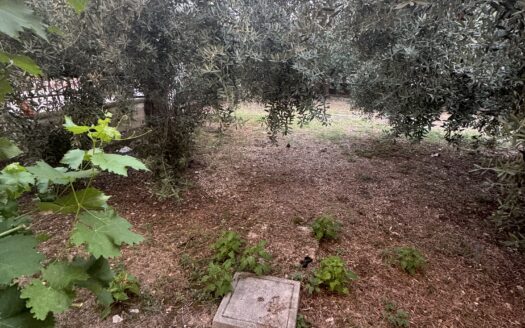 Ingresso indipendente, spazio esterno e posto auto a due passi dal centro!