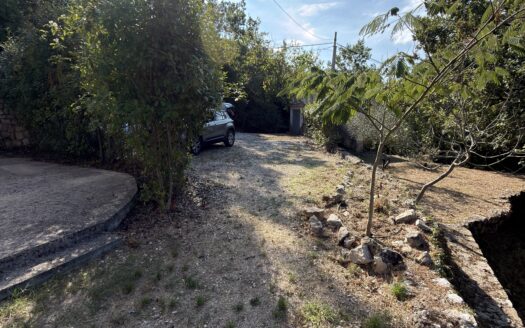 Villa singola con giardino e terreno