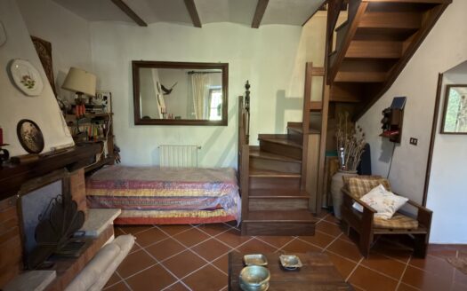 Villa singola con giardino e terreno