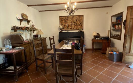 Villa singola con giardino e terreno